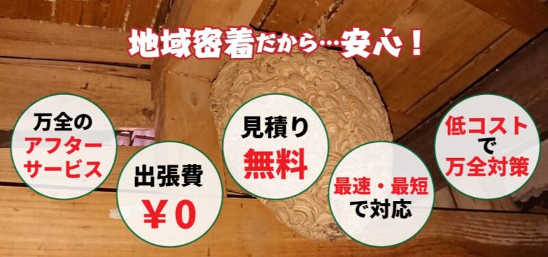 大分害虫駆除センター