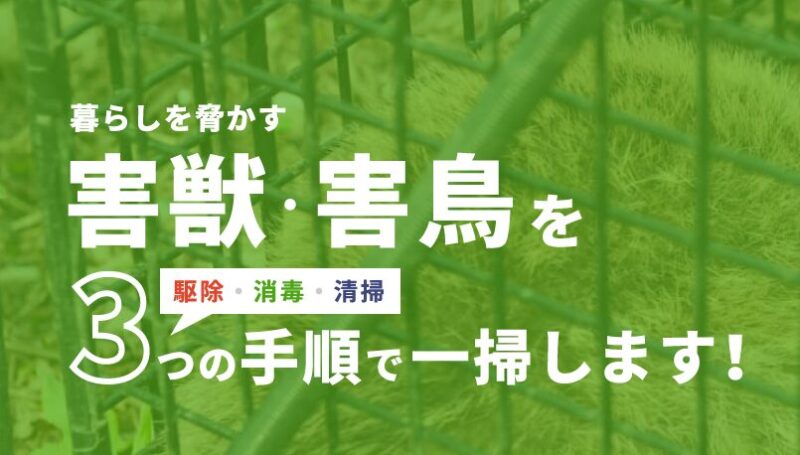 テクノトライ