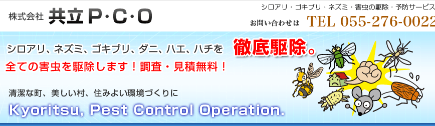 共立P・C・O
